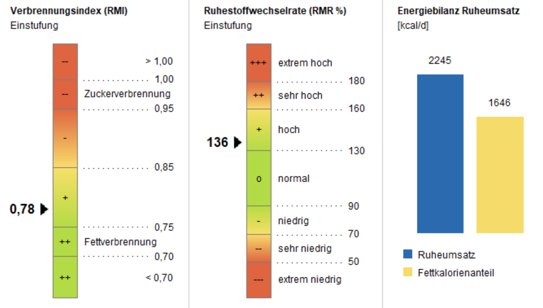 Beispielauswertung Verbrennungsindex gut